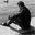 Maxime Grébauval's avatar